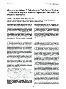 Carboxypeptidase E Cytoplasmic Tail-Driven