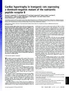 Cardiac hypertrophy in transgenic rats expressing ... - Semantic Scholar