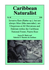 Caribbean Naturalist