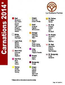 Carnations Catalog - La Gaitana Farms