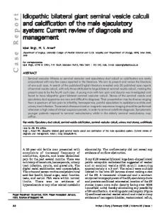 Case Report-Idiopathic bilateral giant seminal vesicle calculi and ...