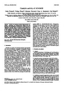 Catalytic activity of ADAM28 - Wiley Online Library