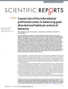 Causal role of the inferolateral prefrontal cortex in balancing goal