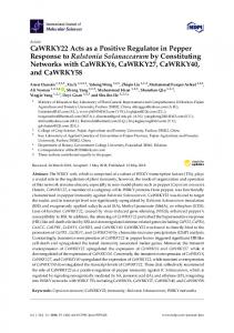 CaWRKY22 Acts as a Positive Regulator in Pepper Response ... - MDPI