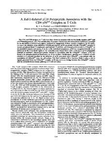 CD4-p56lck Complex in T Cells - Europe PMC