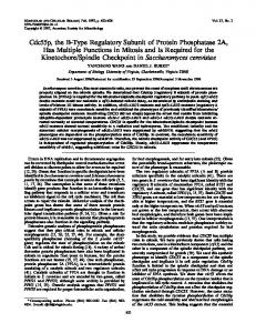 Cdc55p, the B-Type Regulatory Subunit of Protein Phosphatase 2A ...