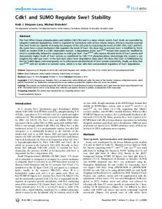 Cdk1 and SUMO Regulate Swe1 Stability - PLOS