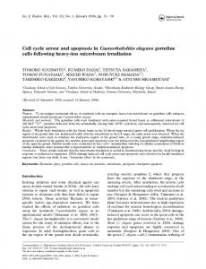 Cell cycle arrest and apoptosis in Caenorhabditis elegans germline ...