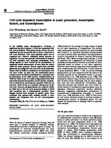 Cell cycle-dependent transcription in yeast: promoters ... - Nature