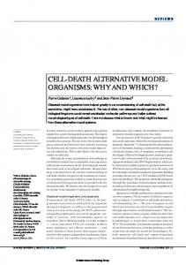 cell-death alternative model organisms - Nature