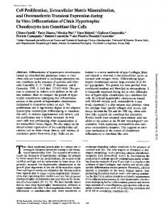 Cell Proliferation, Extracellular Matrix Mineralization