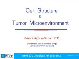 Cell Structure Tumor Microenvironment