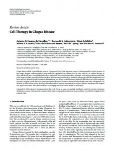 Cell Therapy in Chagas Disease