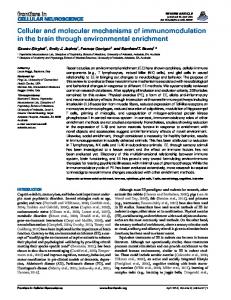 Cellular and molecular mechanisms of