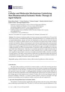 Cellular and Molecular Mechanisms Underlying