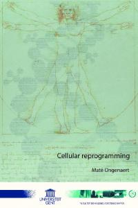 Cellular reprogramming