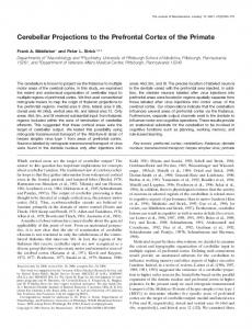 Cerebellar Projections to the Prefrontal Cortex of