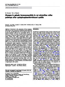 Changes in galanin immunoreactivity in rat micturition ... - Springer Link