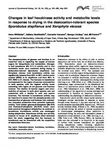 Changes in leaf hexokinase activity and metabolite levels in response ...