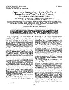 Changes in the Transmembrane Region of the ... - Journal of Virology