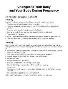 Changes to Your Baby and Your Body During Pregnancy