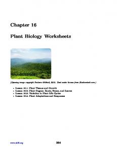 Chapter 16 Plant Biology Worksheets