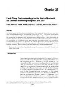 Chapter 23 Patch Clamp Electrophysiology for the Study of Bacterial ...