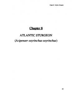 Chapter 8 ATLANTIC STURGEON (Acipenser