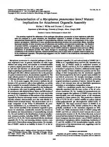 Characterization of a Mycoplasma pneumoniae hmw3 Mutant ...