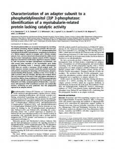 Characterization of an adapter subunit to a phosphatidylinositol (3)P 3 ...