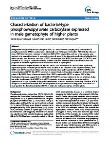 Characterization of bacterial-type ... - BioMedSearch