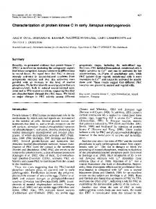 Characterization of protein kinase C in early ... - Semantic Scholar