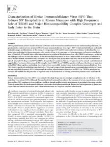 Characterization of Simian Immunodeficiency ... - Journal of Virology