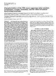 Characterization of the VHL tumor suppressor gene product ...