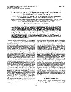 Characterization of Xanthomonas campestris Pathovars by rRNA ...