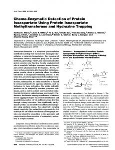 Chemo-Enzymatic Detection of Protein ... - Semantic Scholar