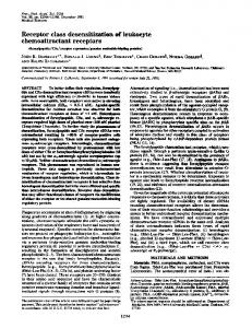 chemoattractant receptors - Europe PMC