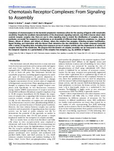 Chemotaxis Receptor Complexes: From Signaling