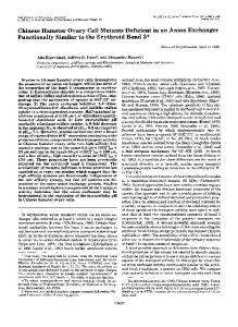 Chinese Hamster Ovary Cell Mutants Deficient in an Anion Exchanger