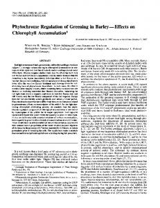 Chlorophyll Accumulation - NCBI