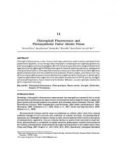 Chlorophyll Fluorescence and Photosynthesis Under