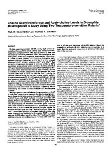 Choline Acetyltransferase and Acetylcholine ... - Semantic Scholar