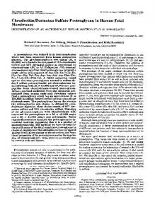Chondroitin/Dermatan Sulfate Proteoglycan in Human Fetal Membranes