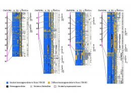 Chr02(Mb) Chr03(Mb) Chr04(Mb) Identical homozygous alleles to