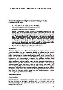 Chromatic adaptation and photoreversal in blue-green ... - CiteSeerX