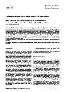 Chromatic adaptation in lichen phyco- and photobionts