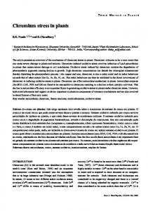 Chromium stress in plants - SciELO