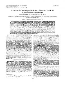 Chromosomal Element e14 - NCBI