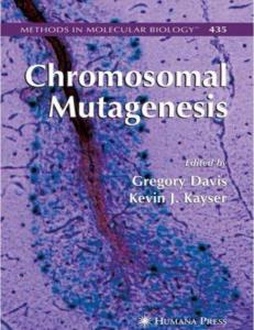 Chromosomal Mutagenesis