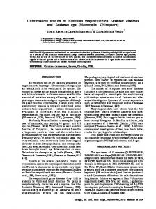 Chromosome studies of Brazilian vespertilionids Lasiurus cinereus ...